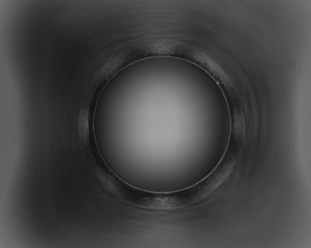 X0000100770493200806191244