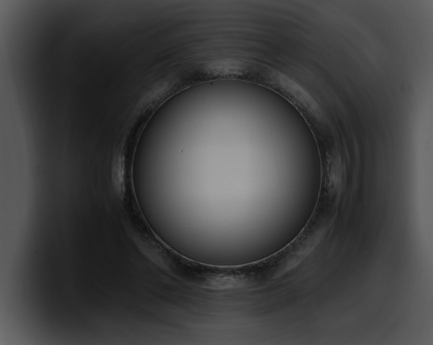 X0000100770494200806191244