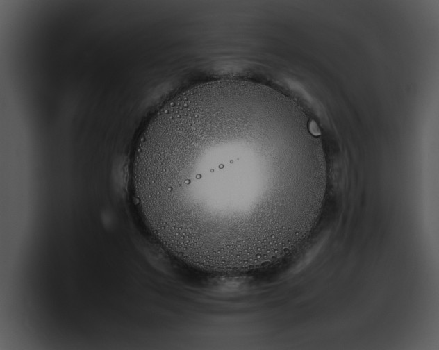 X0000100770495200806191244