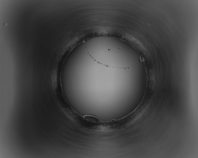 X0000100770496200806191244