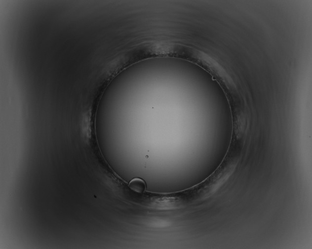 X0000100770497200806191244