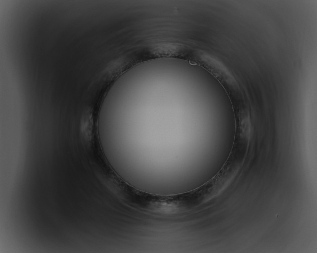 X0000100770498200806191244