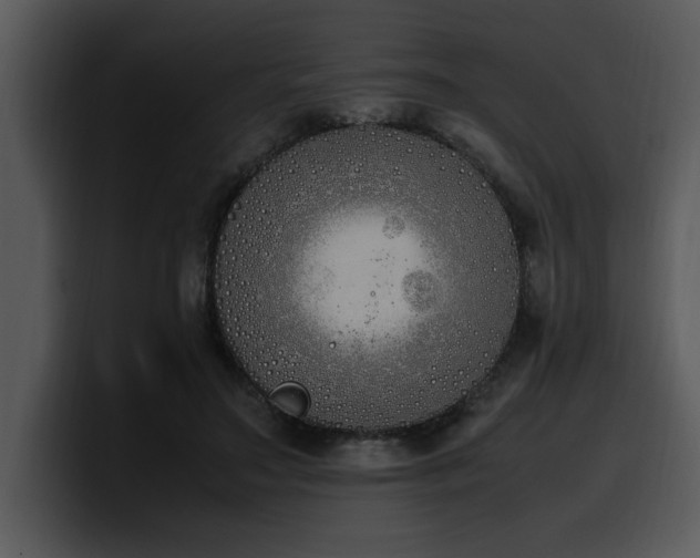 X0000100770499200806191244