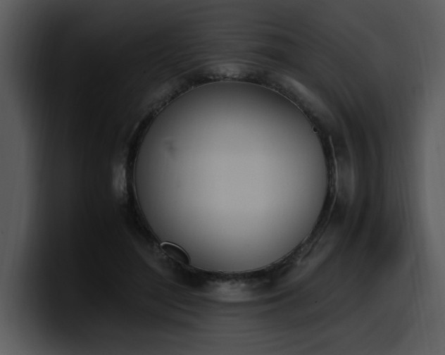 X0000100770500200806191244