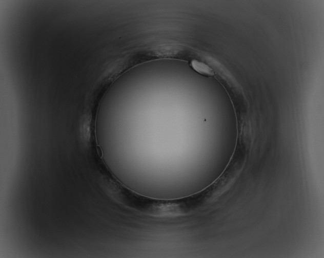 X0000100770501200806191244