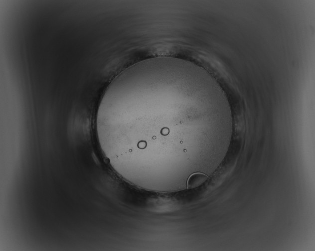 X0000100770503200806191244