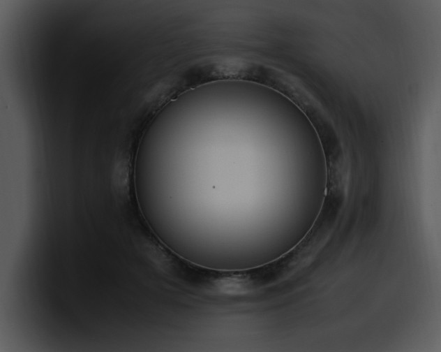 X0000100770505200806191244
