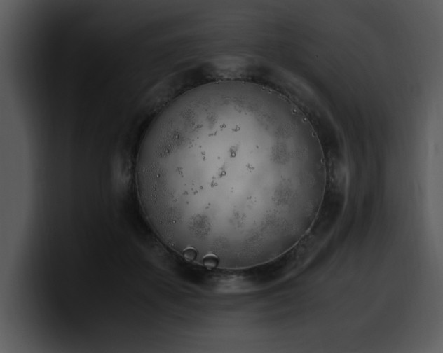 X0000100770507200806191244