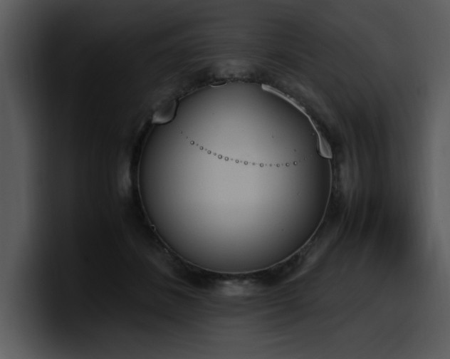 X0000100770508200806191244