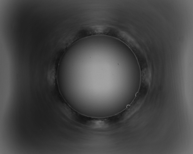 X0000100770509200806191244
