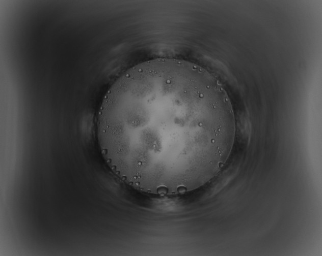 X0000100770511200806191244