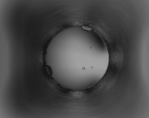 X0000100770512200806191244
