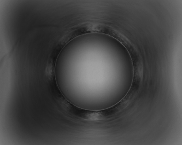 X0000100770513200806191244