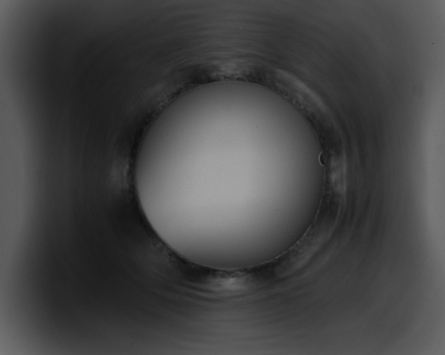 X0000100770514200806191244