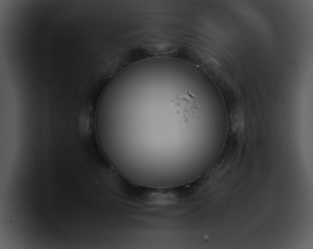 X0000100770515200806191244