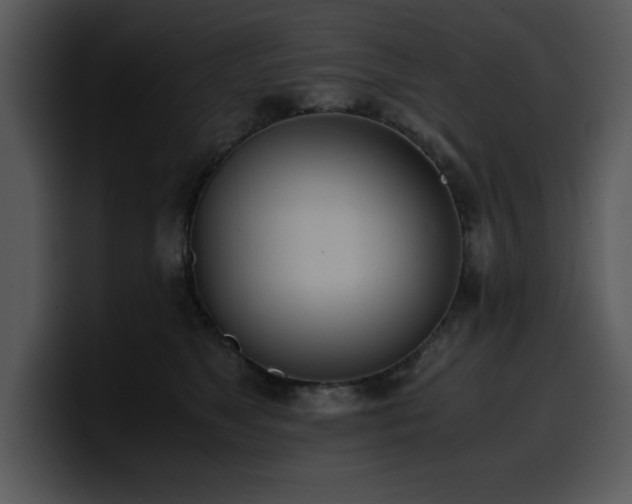 X0000100770517200806191244