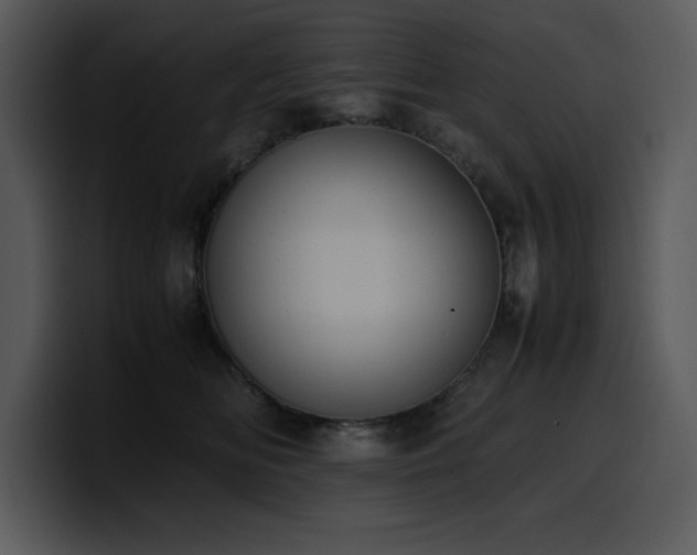 X0000100770518200806191244