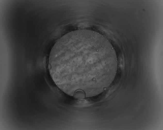 X0000100770519200806191244