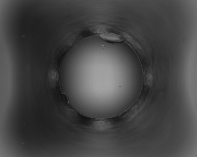 X0000100770521200806191244