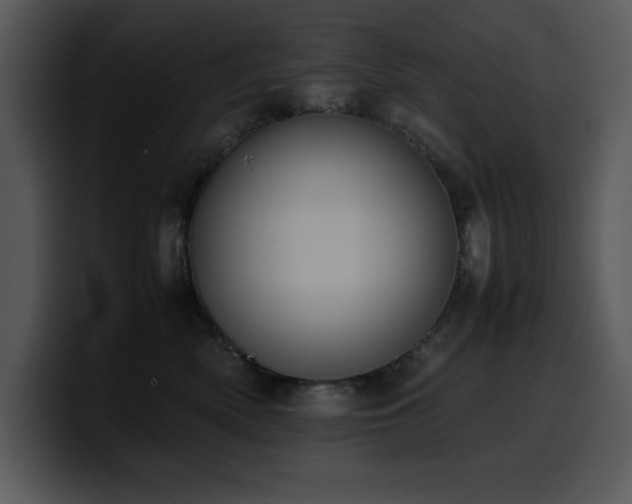 X0000100770522200806191244