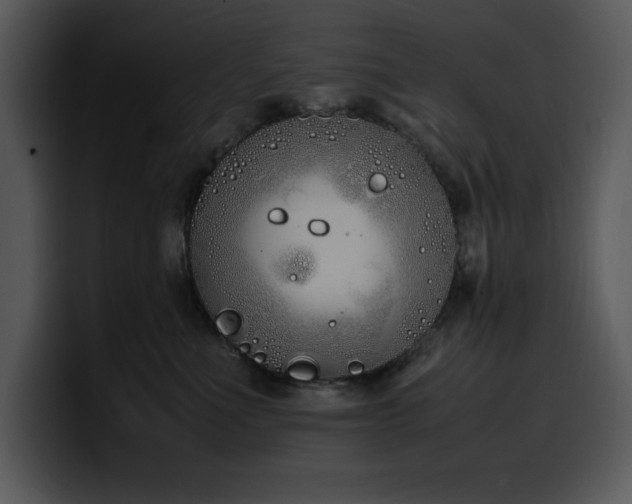 X0000100770523200806191244