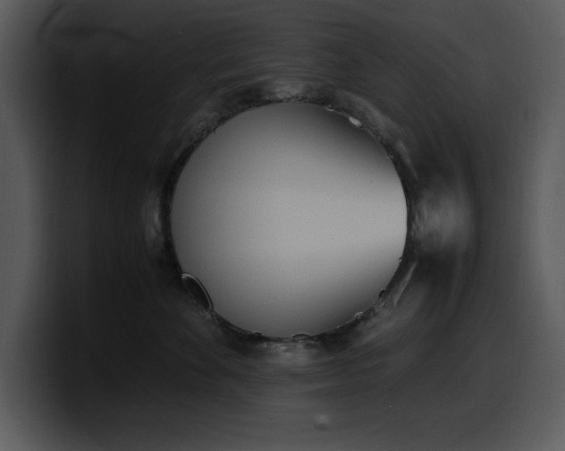 X0000100770524200806191244
