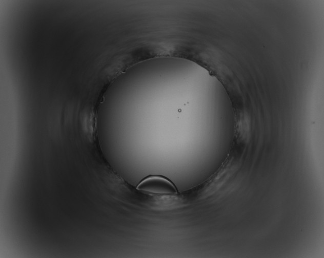 X0000100770525200806191244