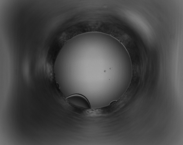 X0000100770526200806191244