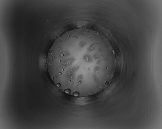 X0000100770527200806191244