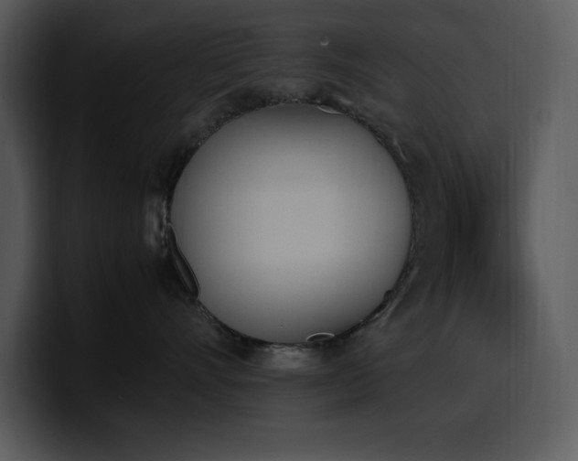 X0000100770528200806191244
