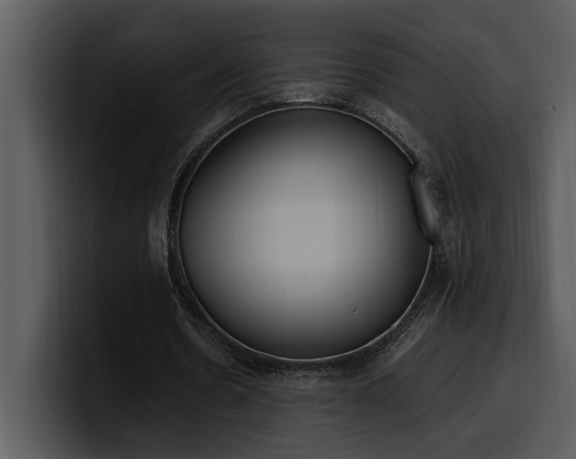 X0000100770530200806191243