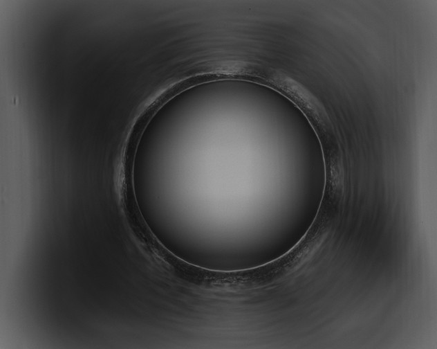 X0000100770532200806191243