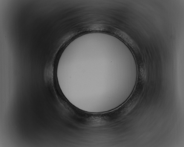 X0000100770534200806191243
