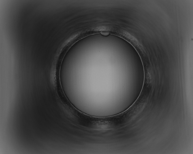 X0000100770535200806191243