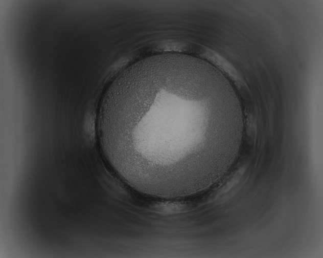 X0000100770537200806191243