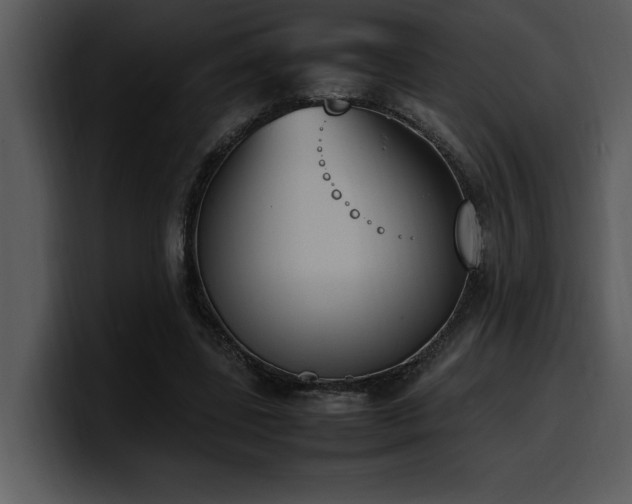 X0000100770539200806191243