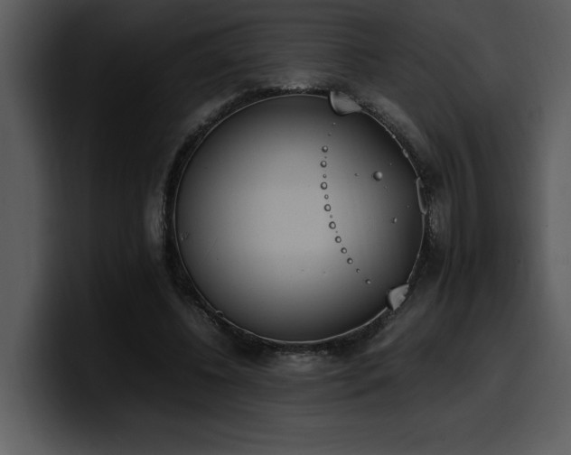 X0000100770540200806191243