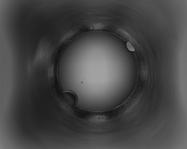 X0000100770543200806191243