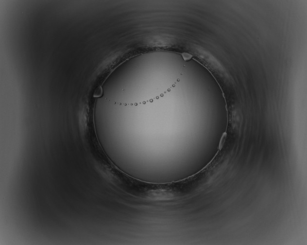 X0000100770544200806191243