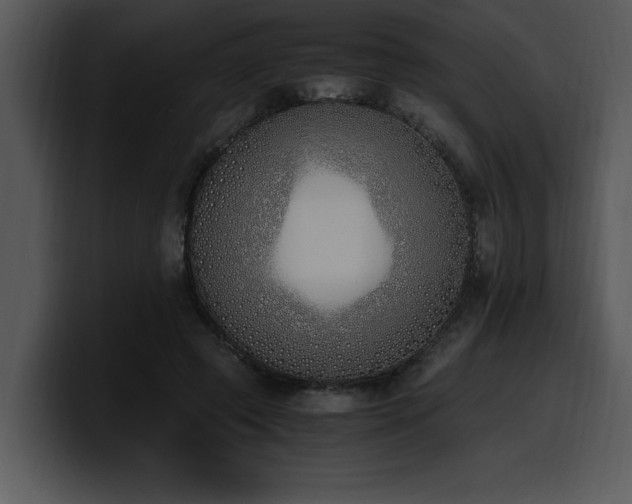 X0000100770545200806191243