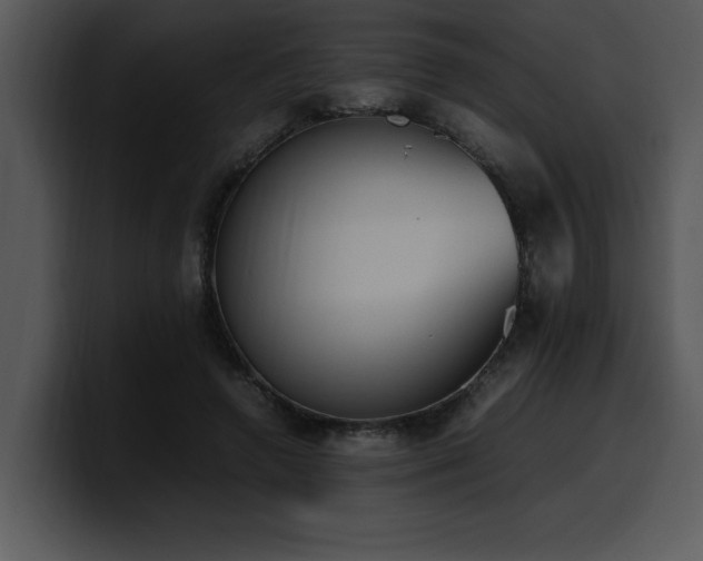 X0000100770546200806191243