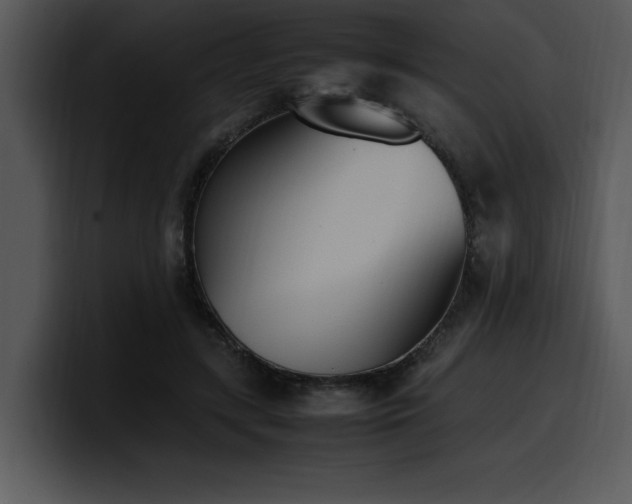 X0000100770547200806191243