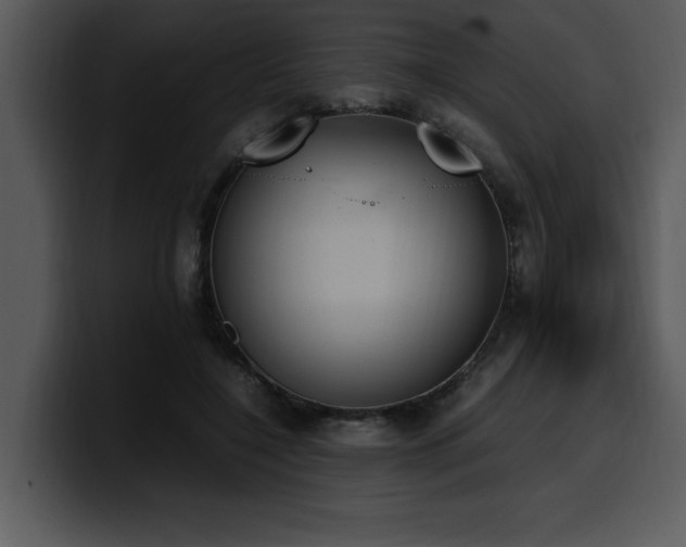 X0000100770548200806191243