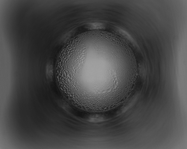 X0000100770549200806191243