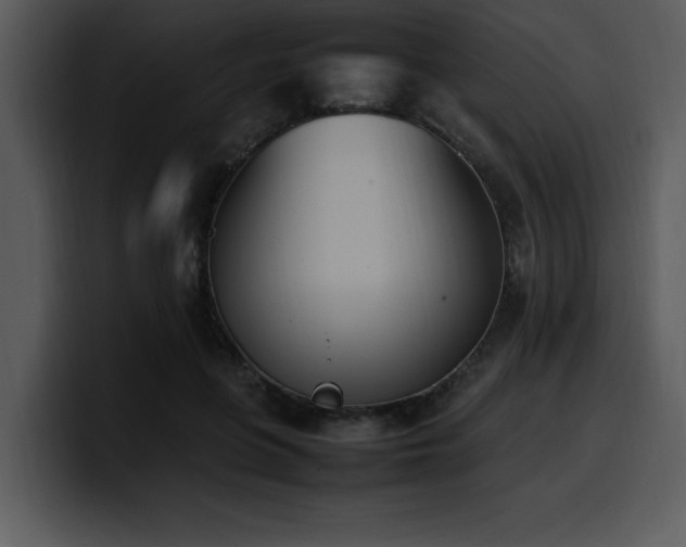 X0000100770551200806191243