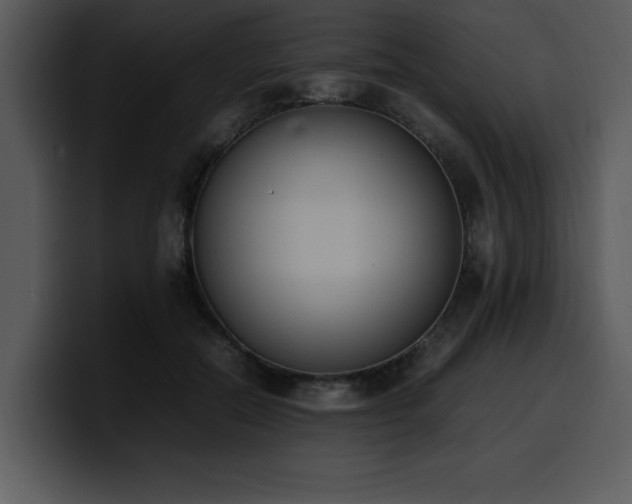 X0000100770554200806191243