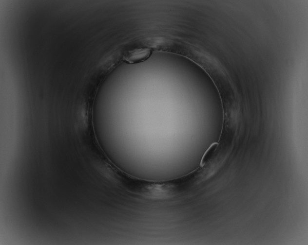 X0000100770558200806191243