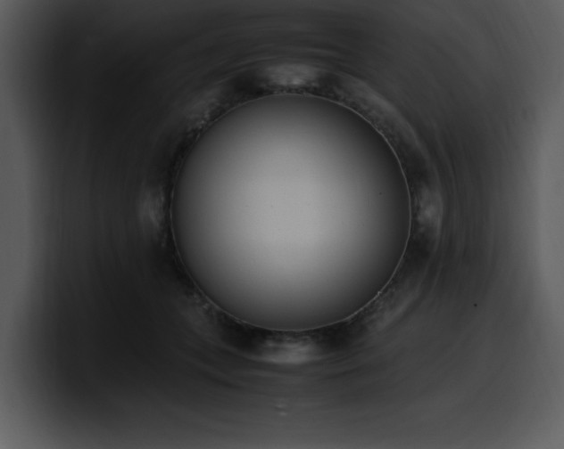 X0000100770559200806191243