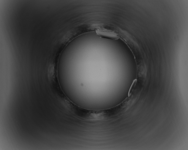 X0000100770560200806191243