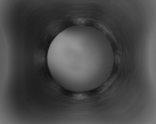 X0000100770561200806191243